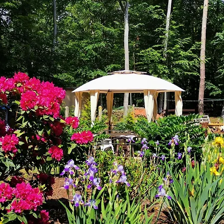 펜션 Bungalowdorf Briesensee *