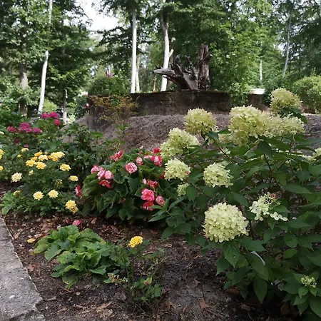 Bungalowdorf Briesensee בית נופש Neu Zauche